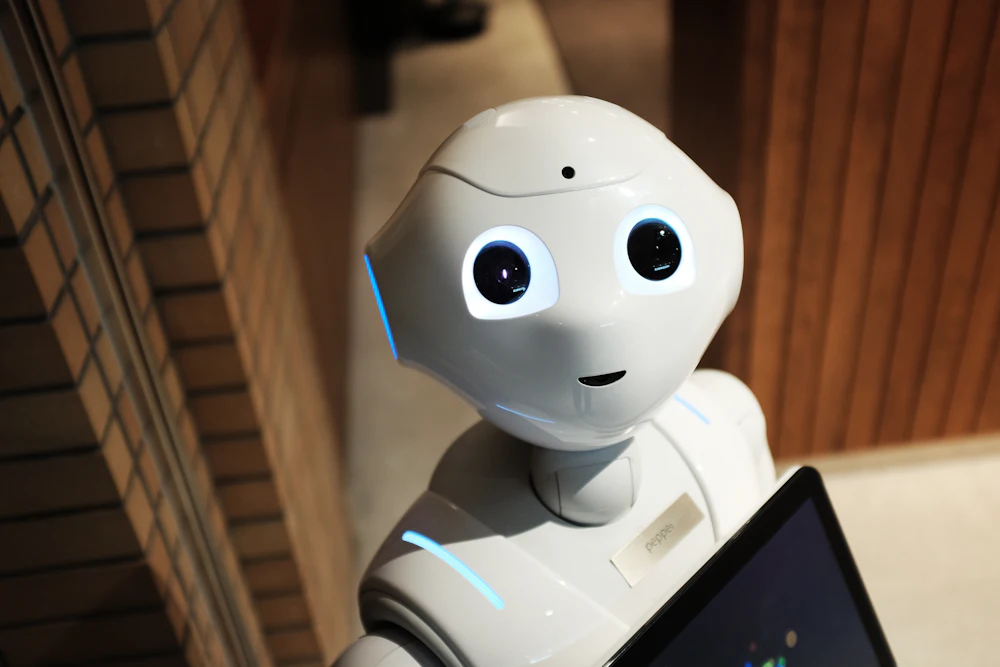 AI Chatbot & Sesli Asistanlar